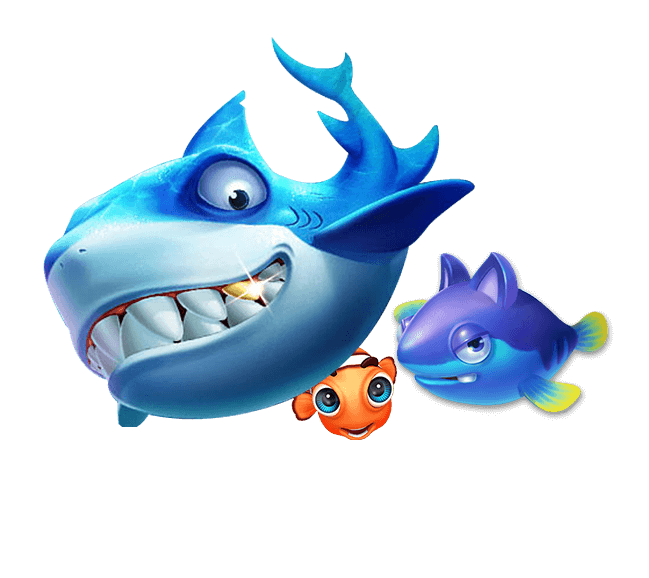 k·yun新网站登录下载app软件截图2
